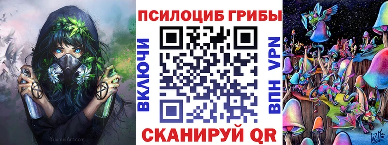 Галлюциногенные грибы Psilocybe Заозёрный